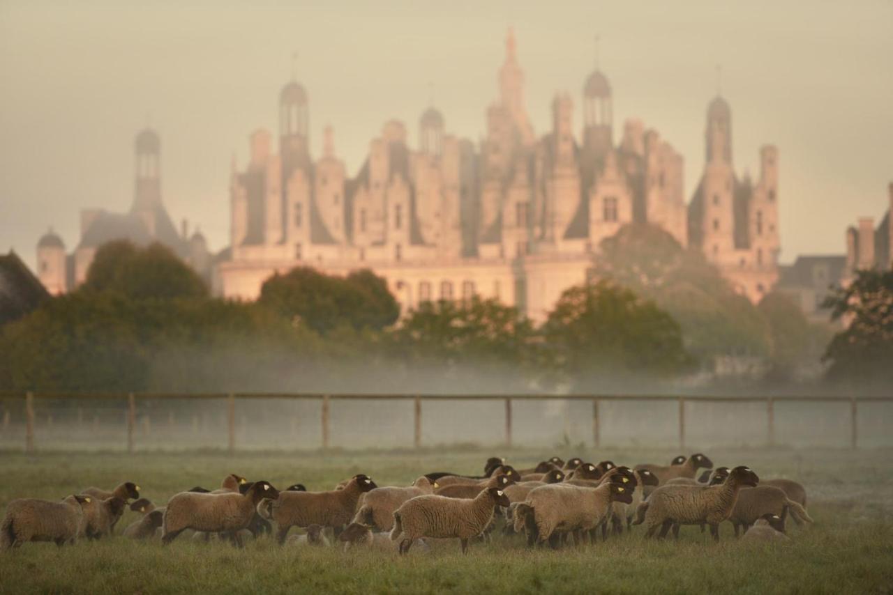 Maison Moz Fontaines-en-Sologne Kültér fotó