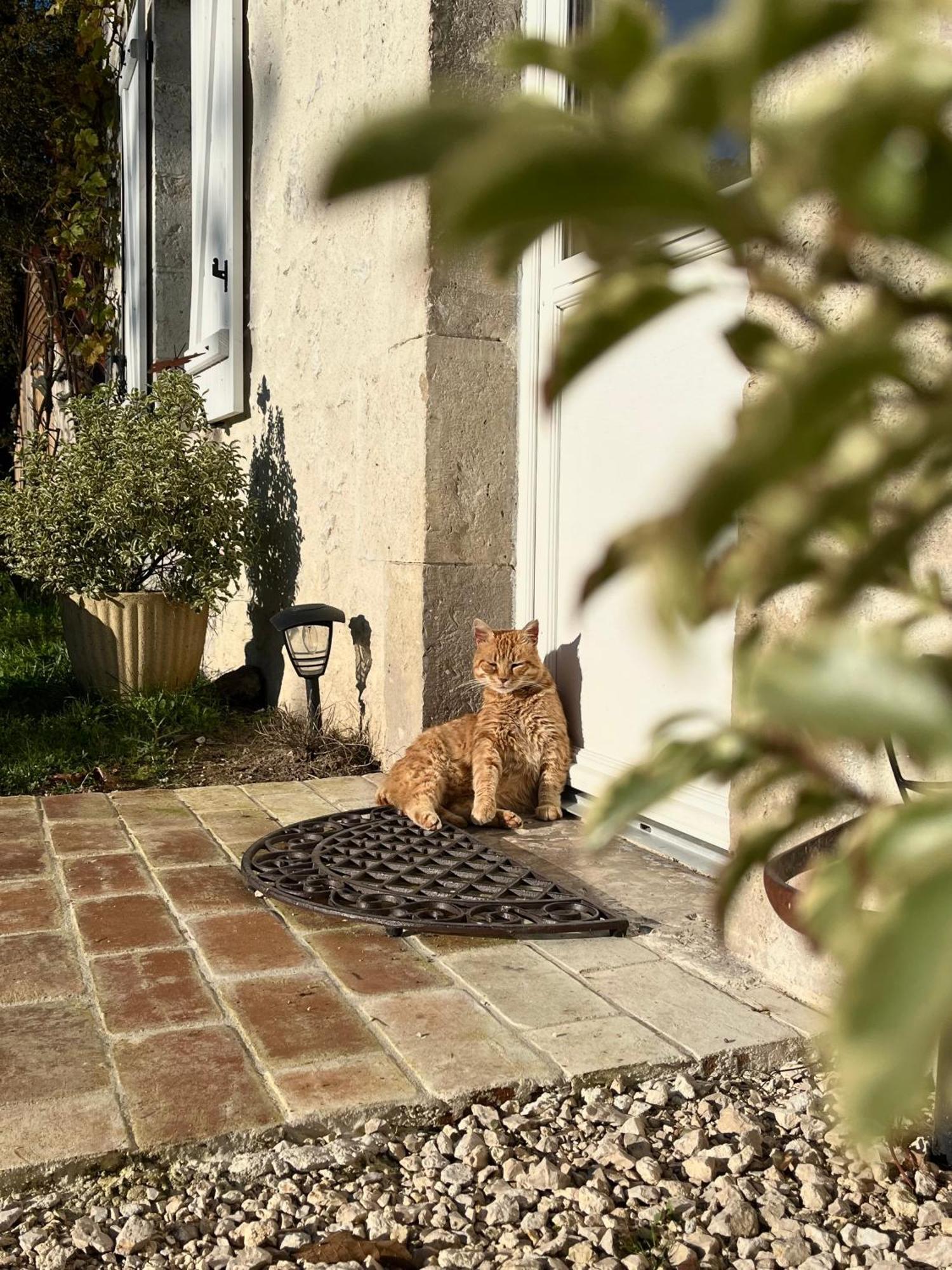 Maison Moz Fontaines-en-Sologne Kültér fotó